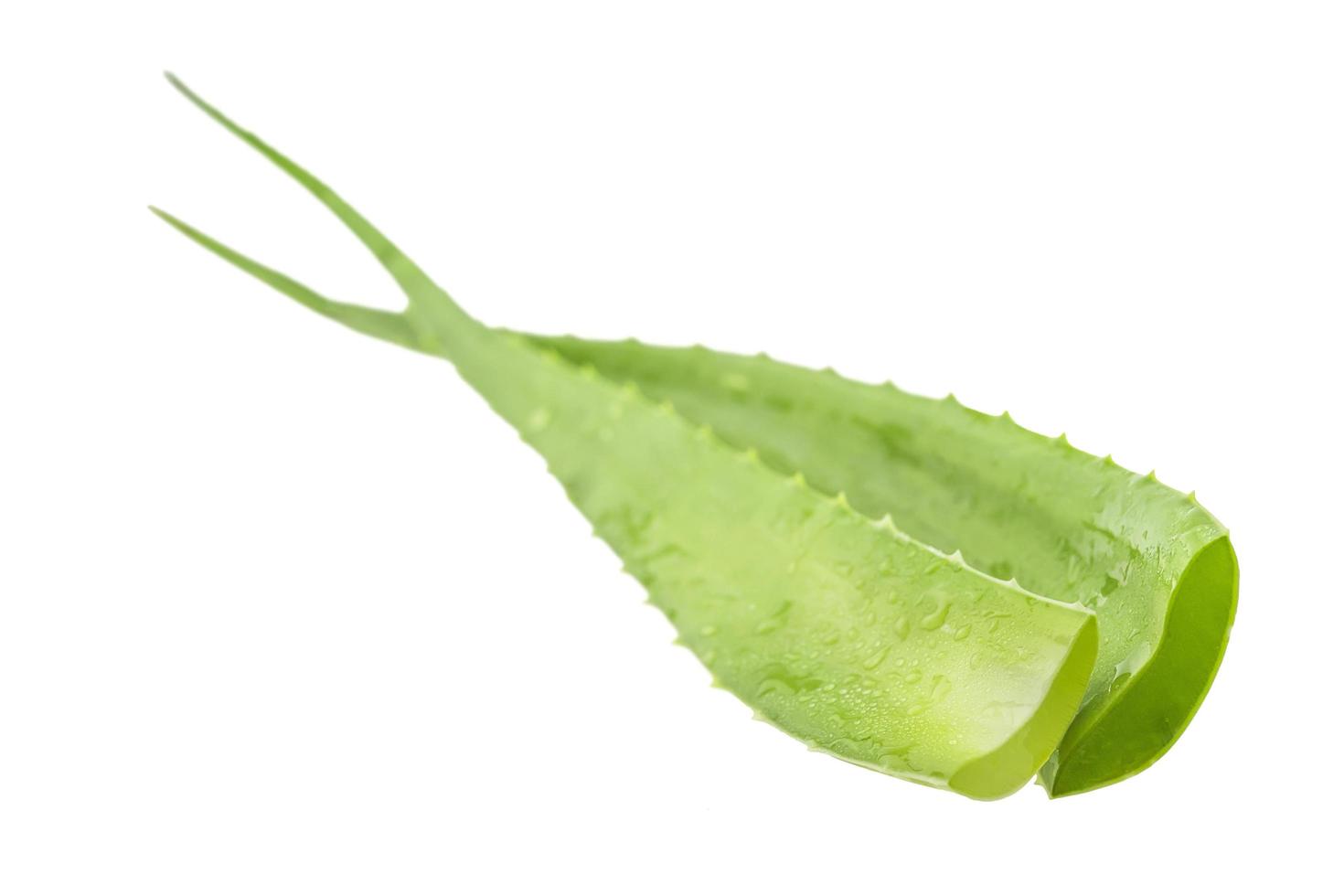 Fresh aloe vera isolated over white photo