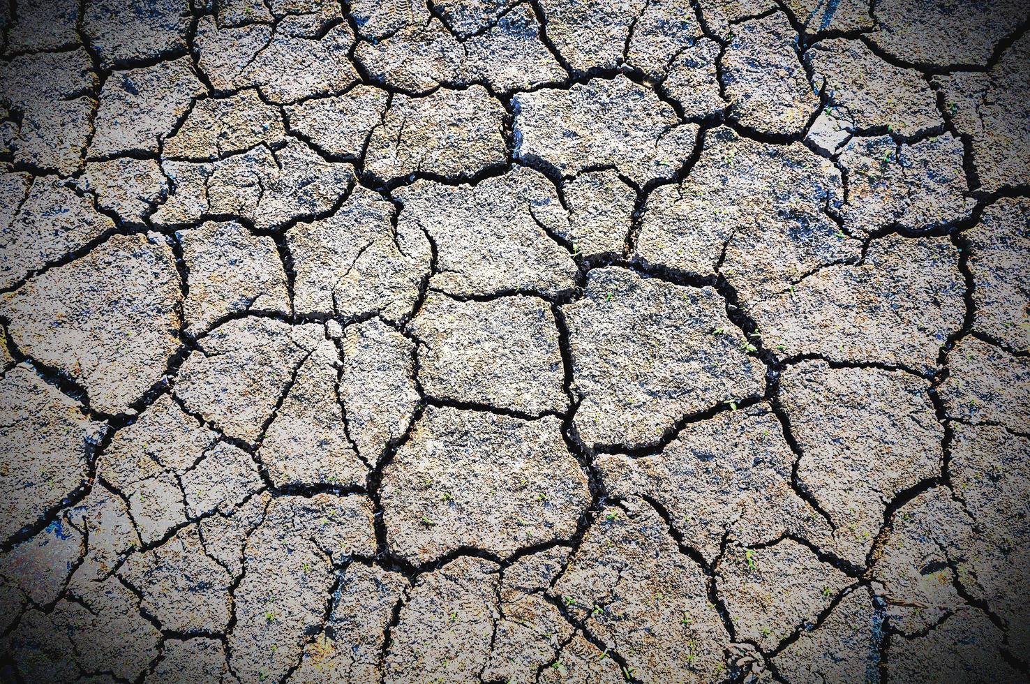 textura de la superficie del suelo agrietada en la estación seca, fondo de viñeta de tono gris foto