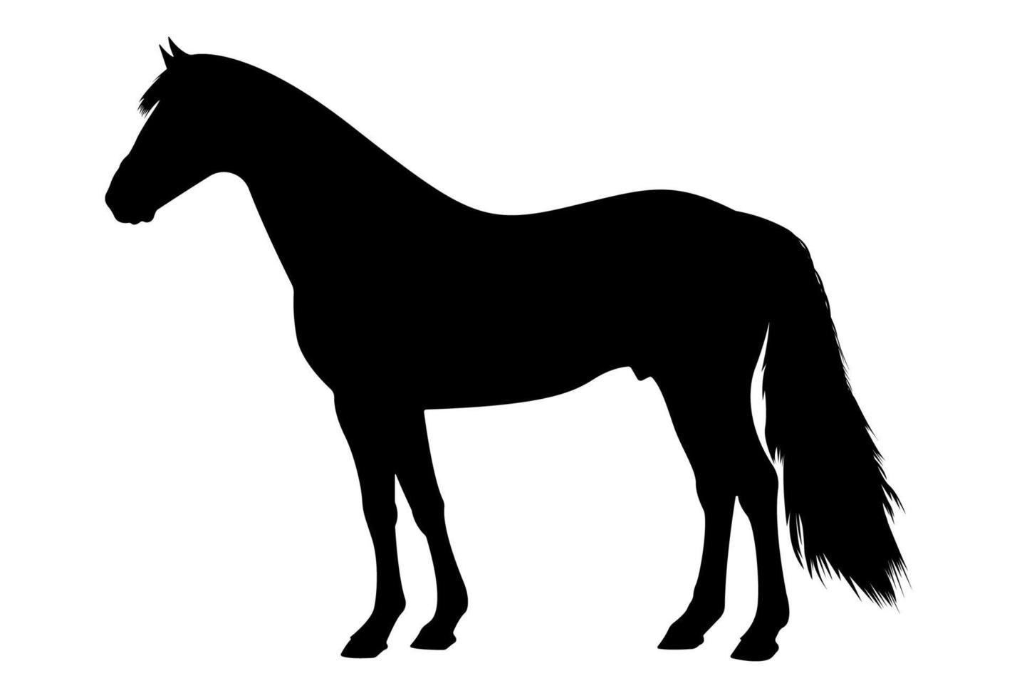 Horse animal Silhouette Illustration. vector