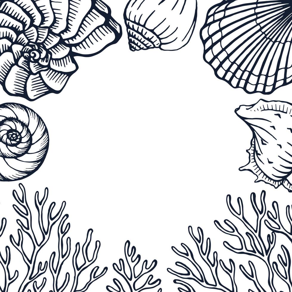 Seashells and coral frame. Sea and ocean design template. Vector card templates. Vector illustration in sketch style.