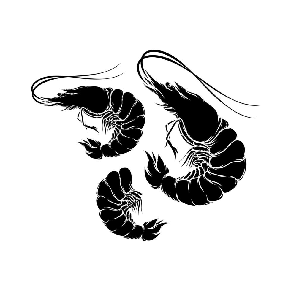 Shrimp Vector logo With White Background