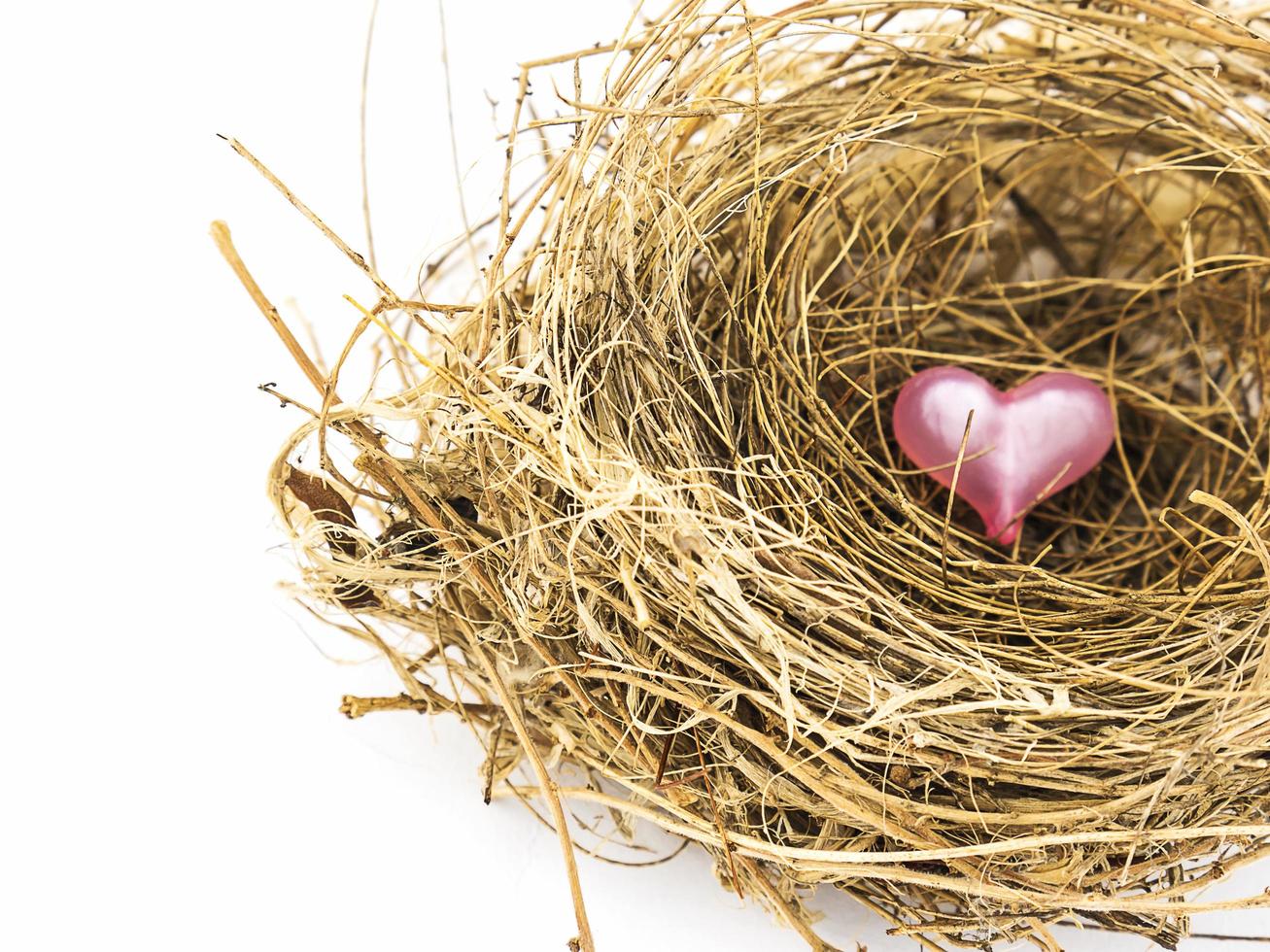 pequeño corazón de decoración en un nido de pájaro foto