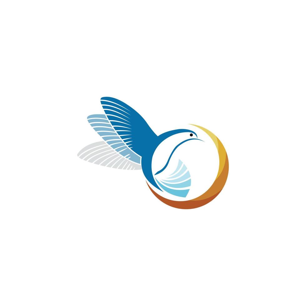 Hummingbird vector logo design. Bird vector logo design.