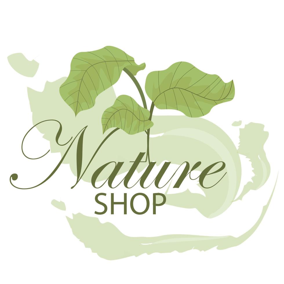 organic nature shop logo with green plants vector