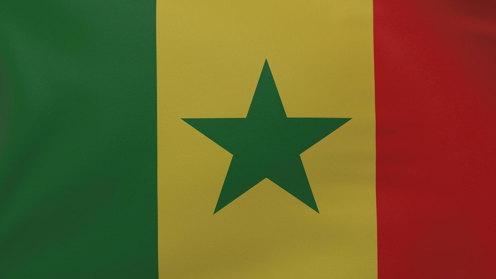 Senegal flag texture photo