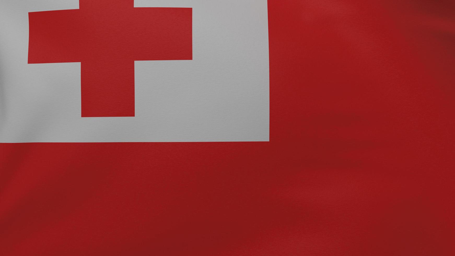 Tonga flag texture photo