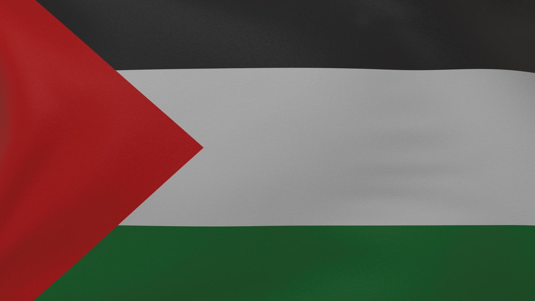 palestine flag texture photo