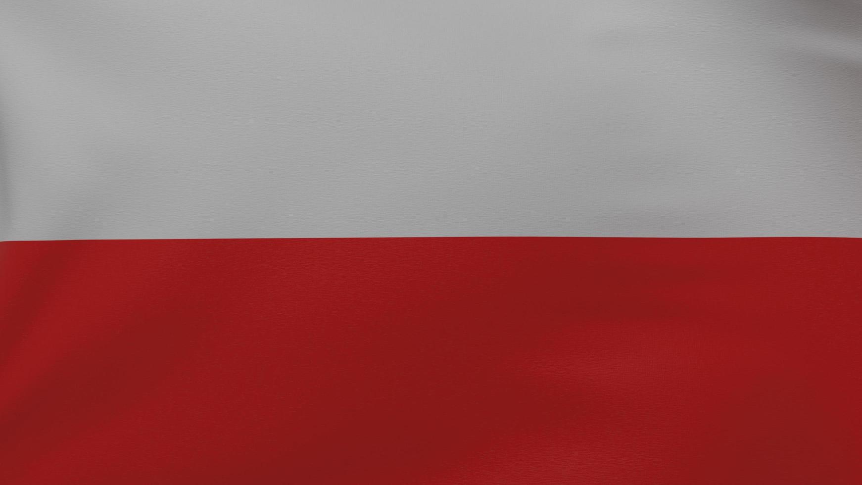 Poland flag texture photo