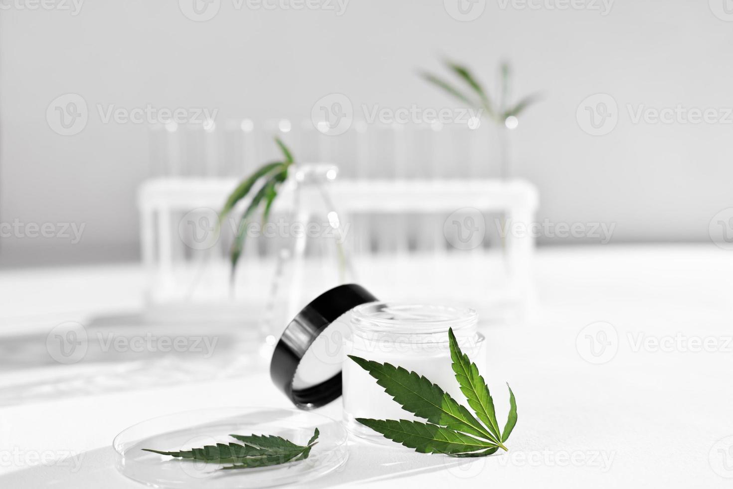 cannabis face cream and hemp leaves in laboratory . petri dishes and test-tubes on lab table. dermatology concept, alternative treatment. photo