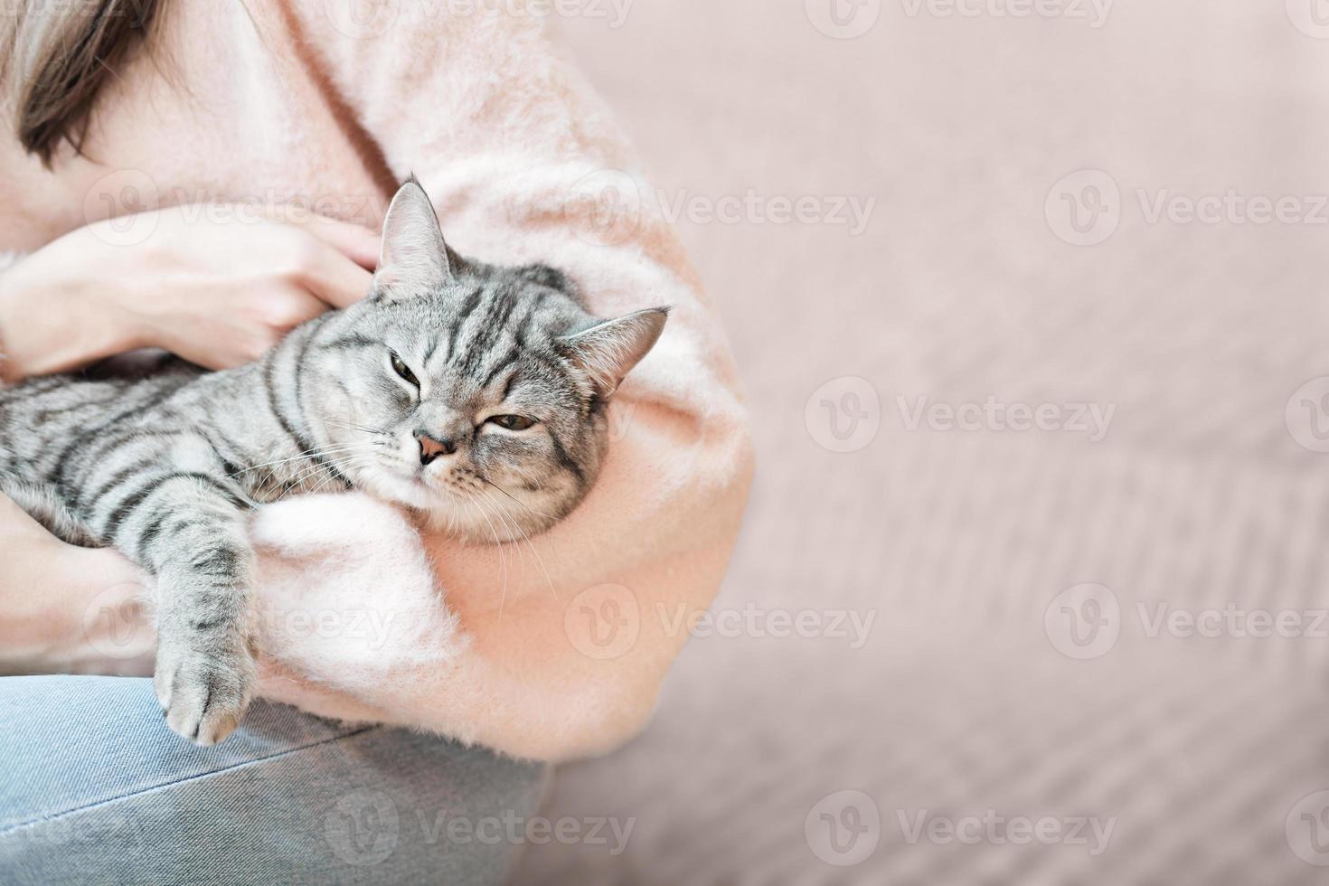 woman holding tabby grey cat. Playing with pet at home. Love, coziness, leisure, animal protection concept. Scottish straight breed. photo