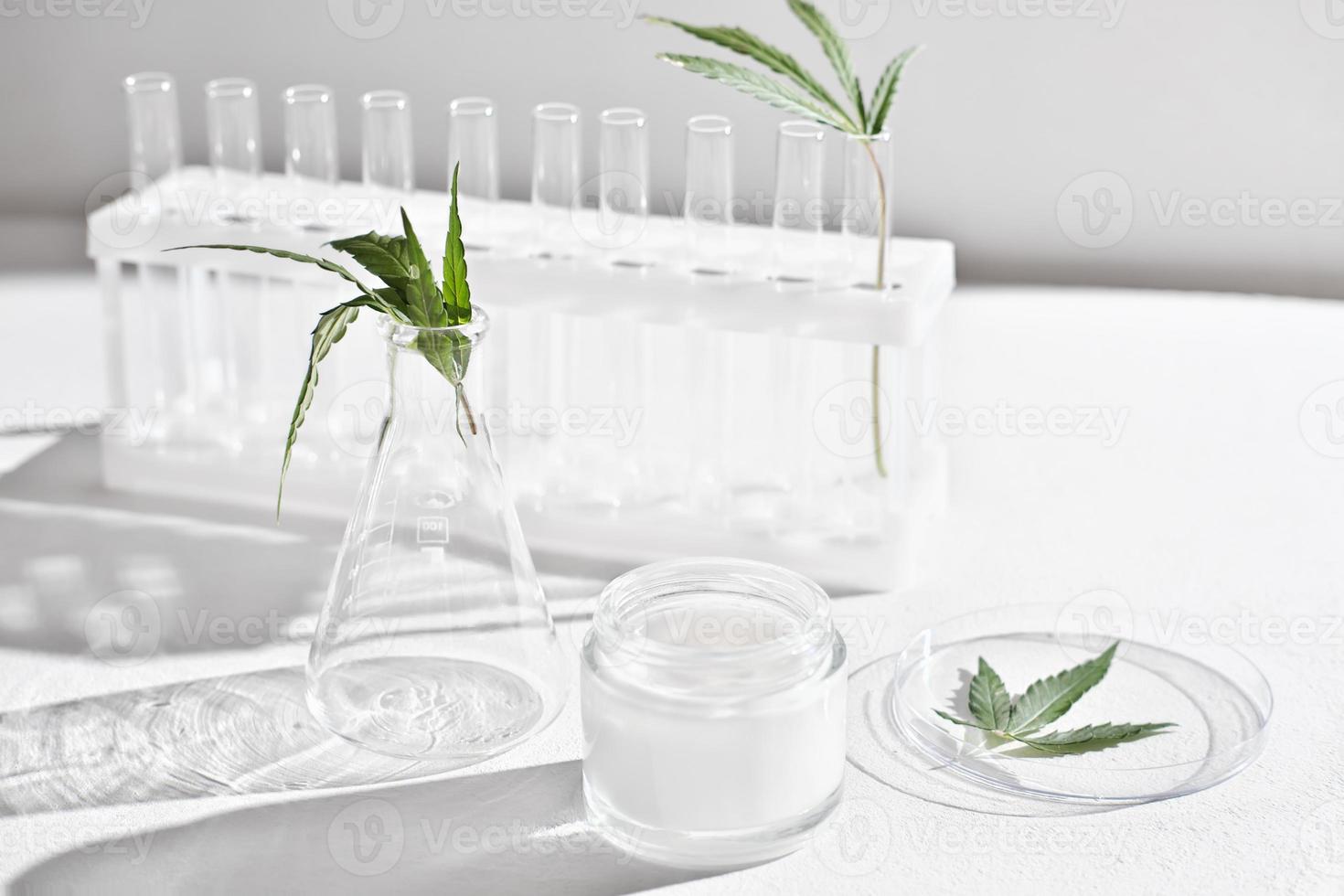 cannabis face cream and hemp leaves in laboratory . petri dishes and glassware on lab table. dermatology concept, alternative treatment. front view. photo