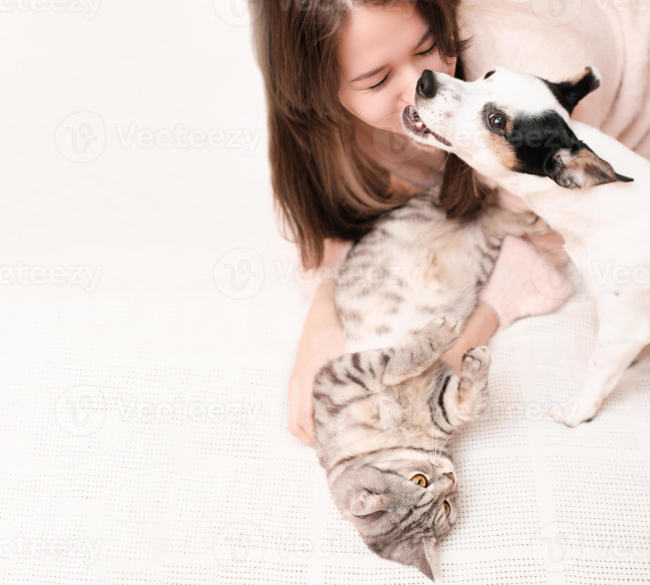 Do Jack Russell Get Along With Cats