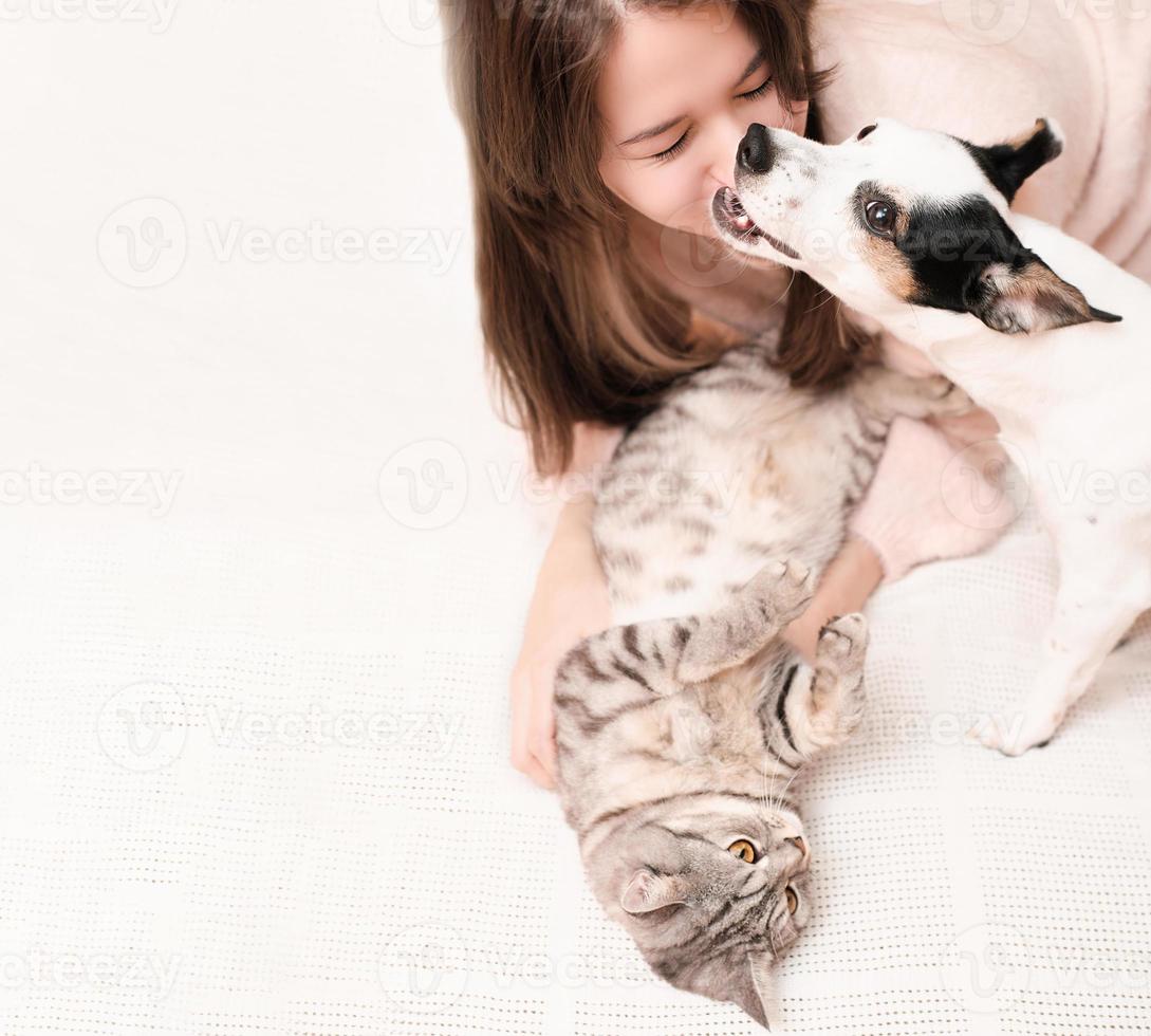 young woman playing with a cat and a dog on a bed, jack russell terrier bites owner by the nose. copy space. lovely pets concept. photo