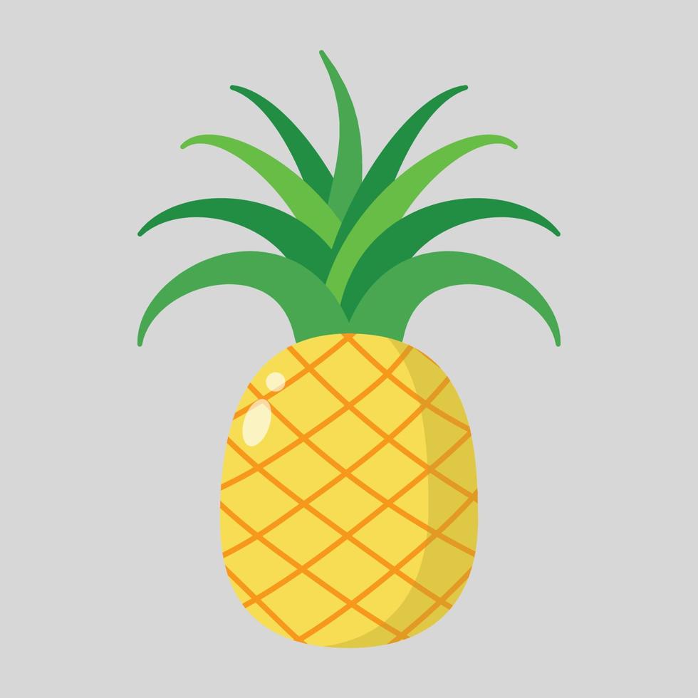 pinapple fruit summer illustration in flat vector design