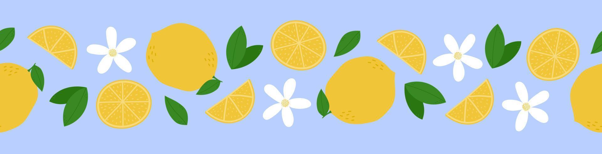 borde sin costuras de limón. limones enteros, rodajas, hojas y flores sobre fondo azul vector