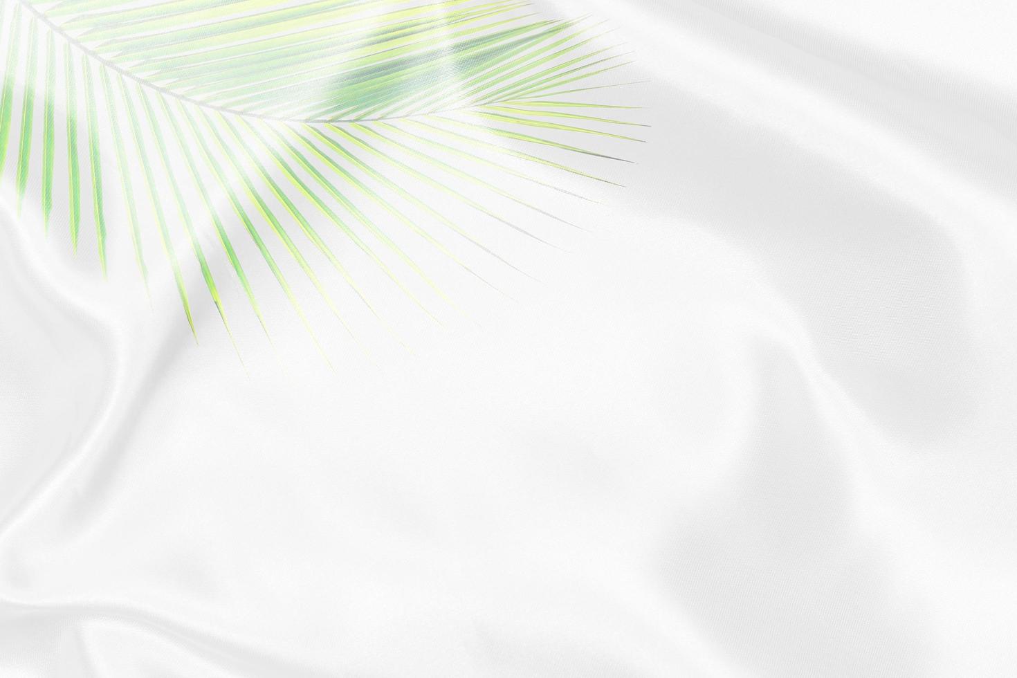 green palm leaves pattern overlay with white fabric texture soft blur background photo