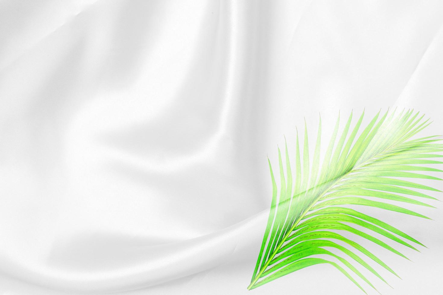 green palm leaves pattern overlay with white fabric texture soft blur background photo