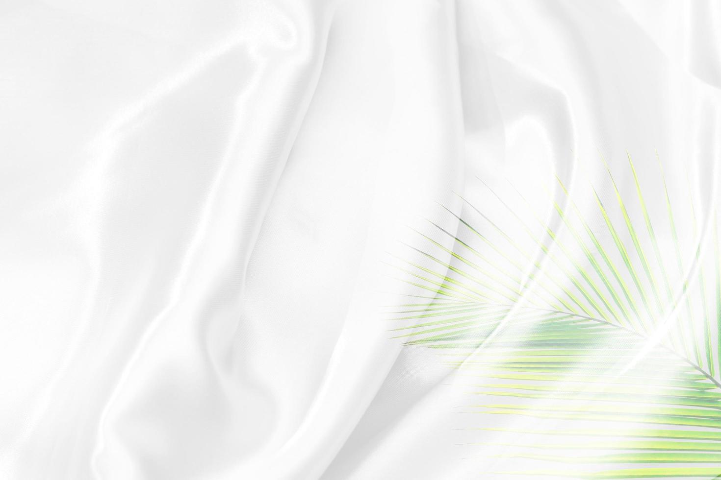 green palm leaves pattern overlay with white fabric texture soft blur background photo