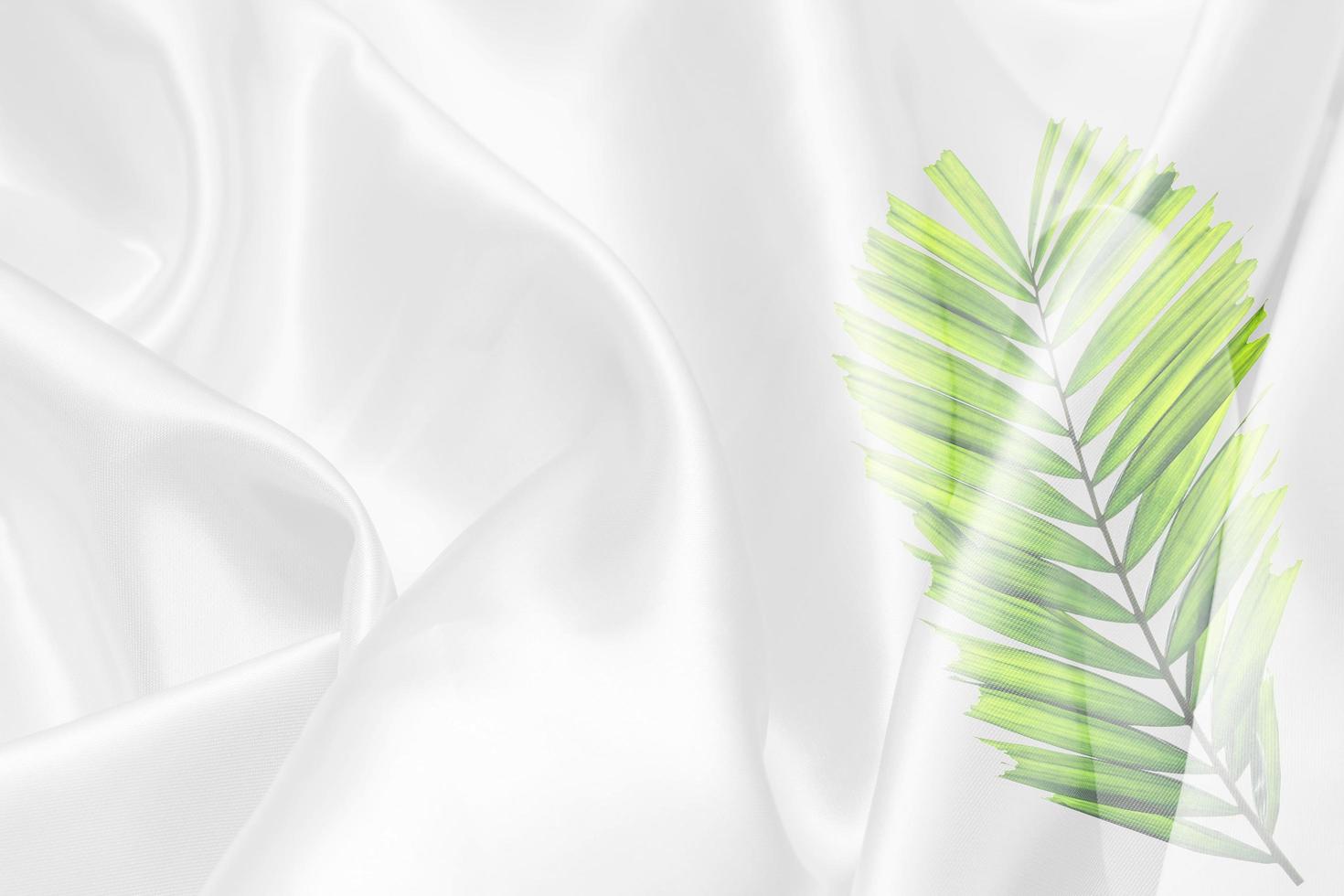green palm leaves pattern overlay with white fabric texture soft blur background photo