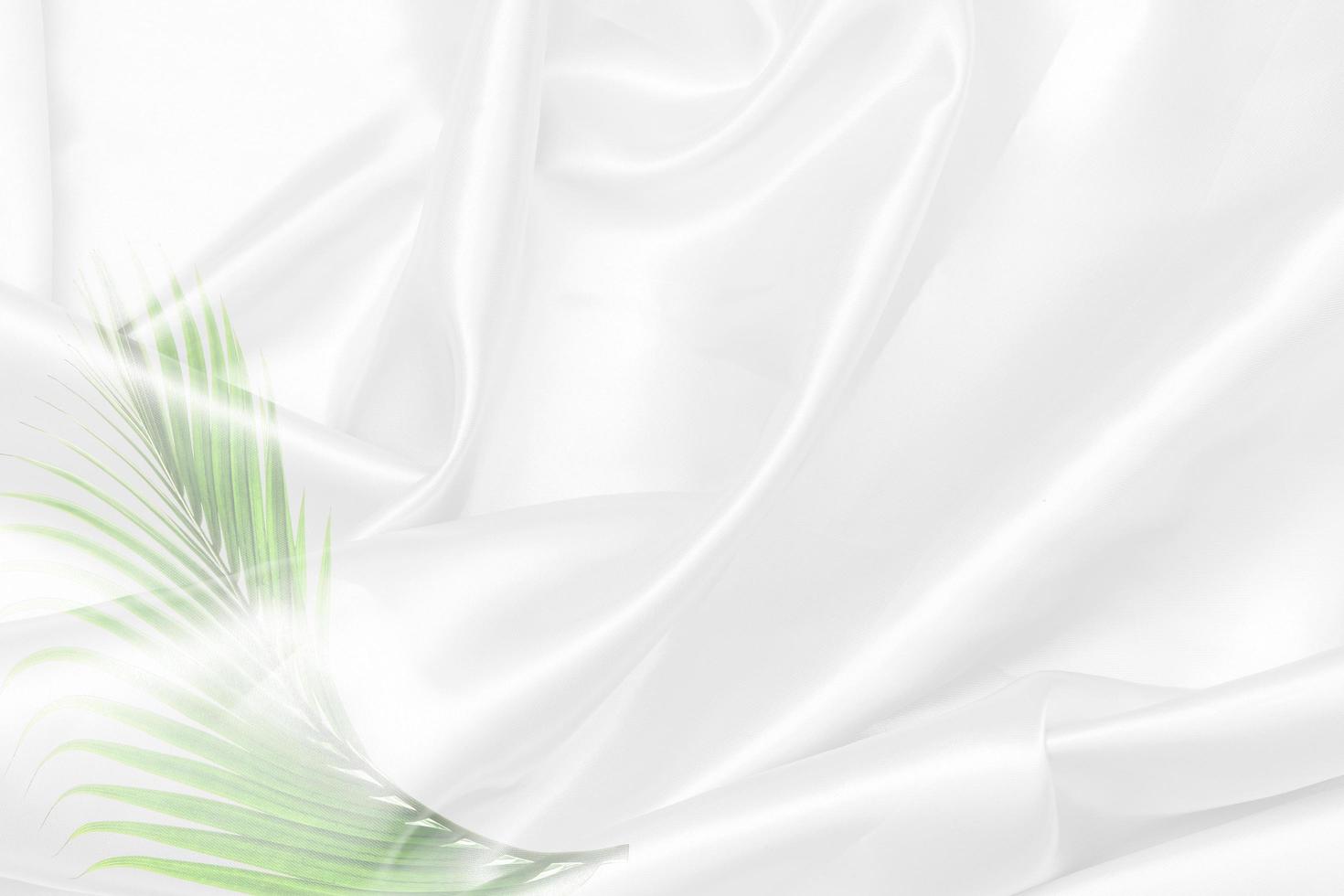 green palm leaves pattern overlay with white fabric texture soft blur background photo