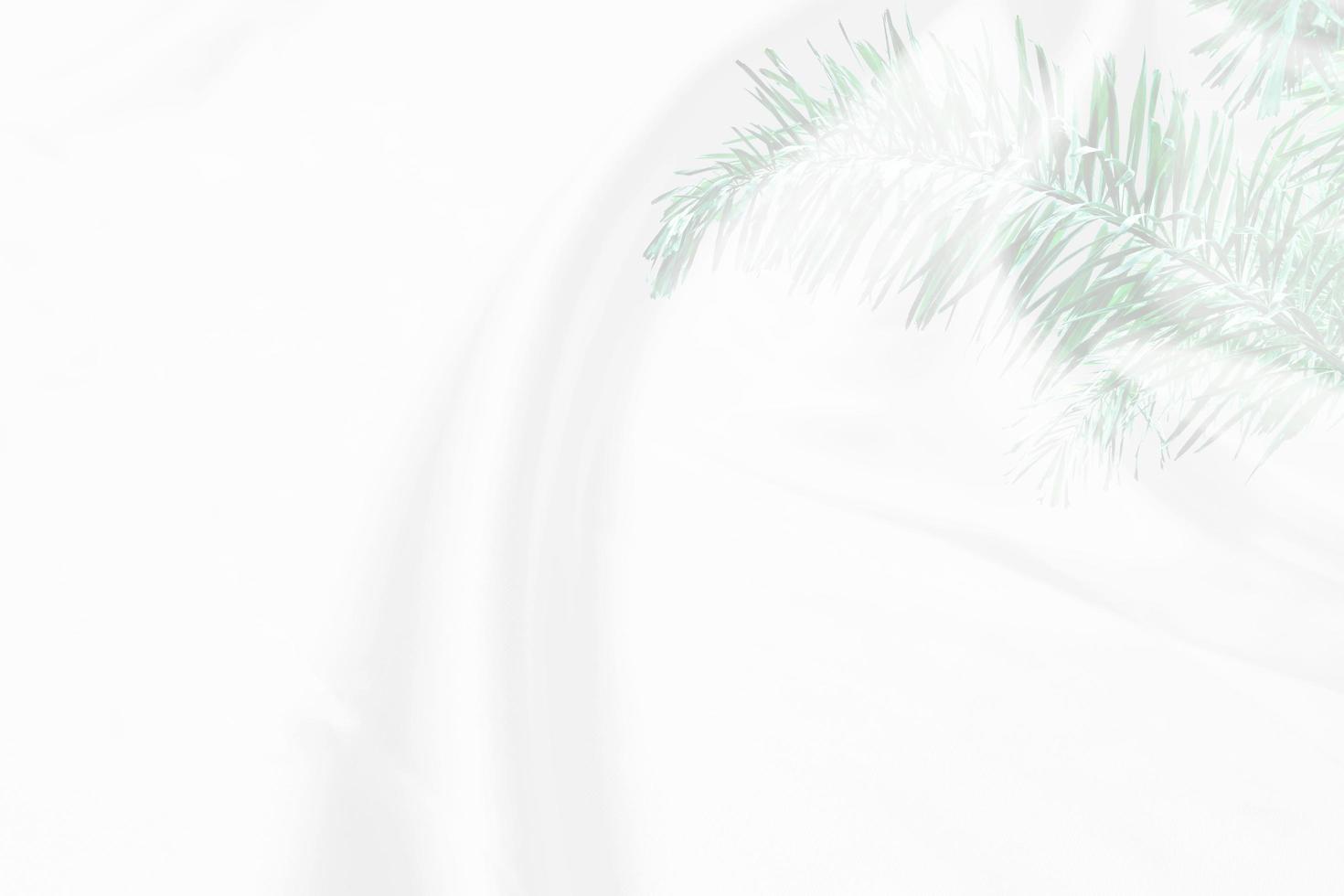 green palm leaves pattern overlay with white fabric texture soft blur background photo