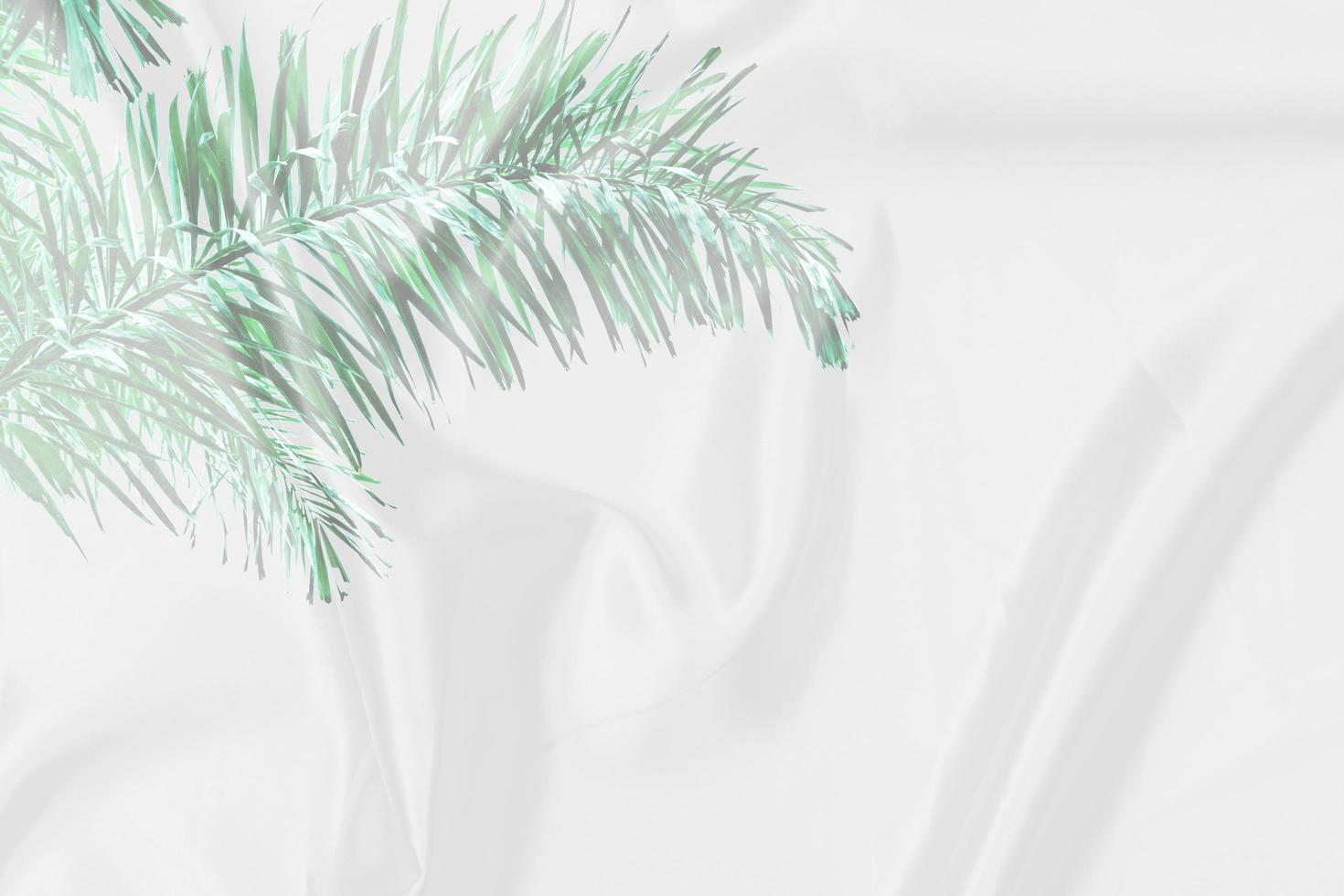 green palm leaves pattern overlay with white fabric texture soft blur background photo