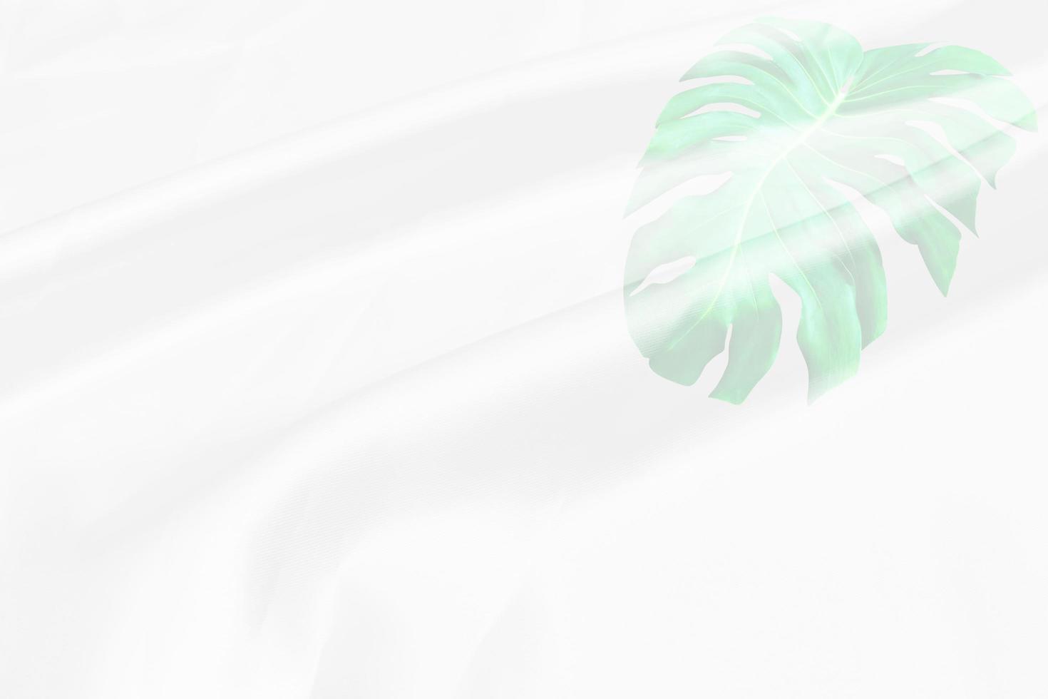 green monstera leaves pattern overlay with white fabric texture soft blur background photo