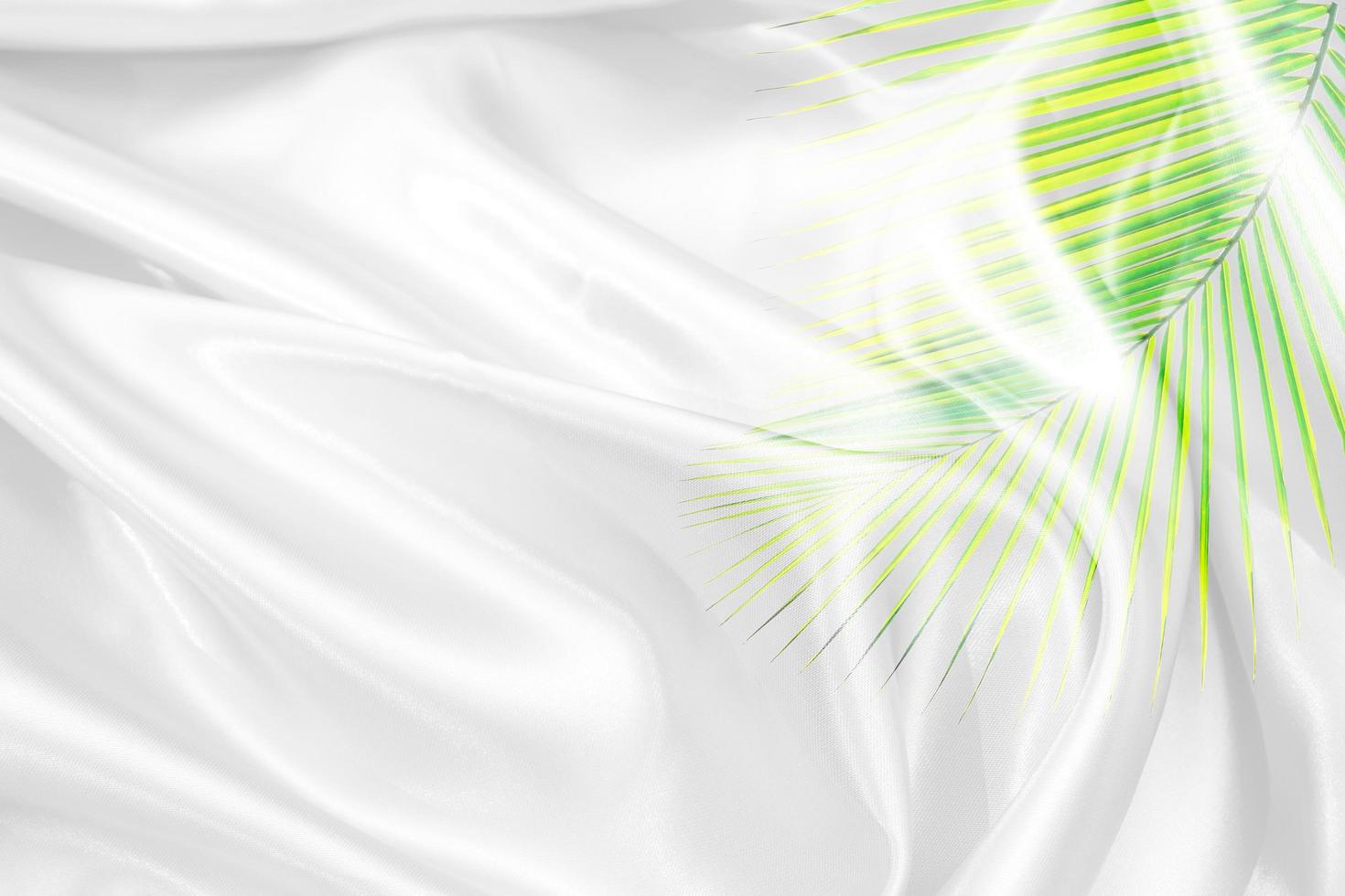 green palm leaves pattern overlay with white fabric texture soft blur background photo
