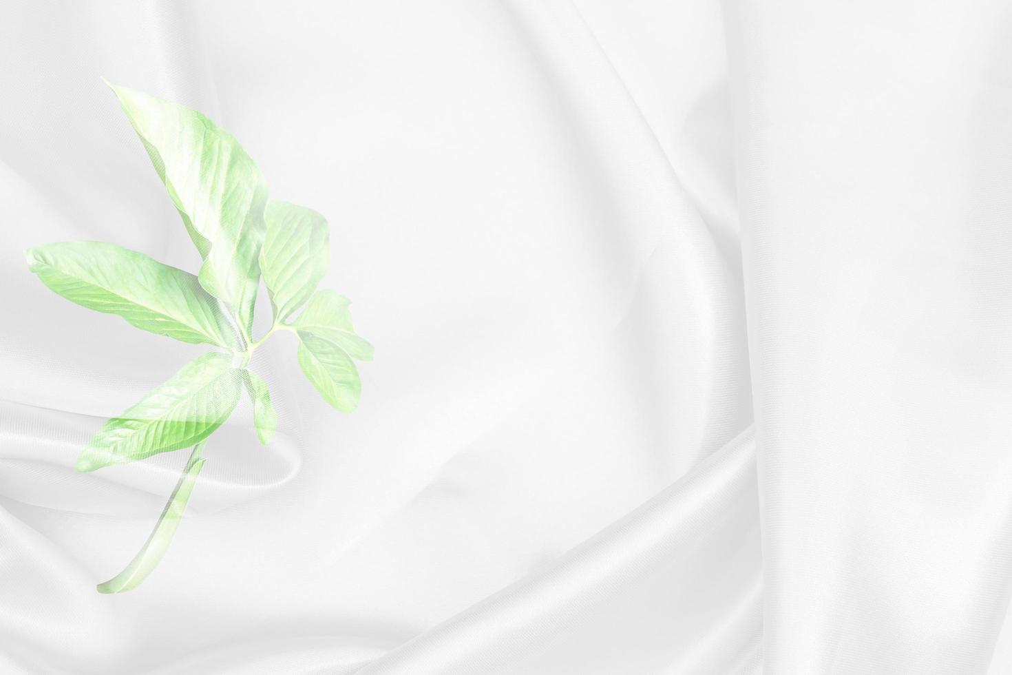 green palm leaves pattern overlay with white fabric texture soft blur background photo