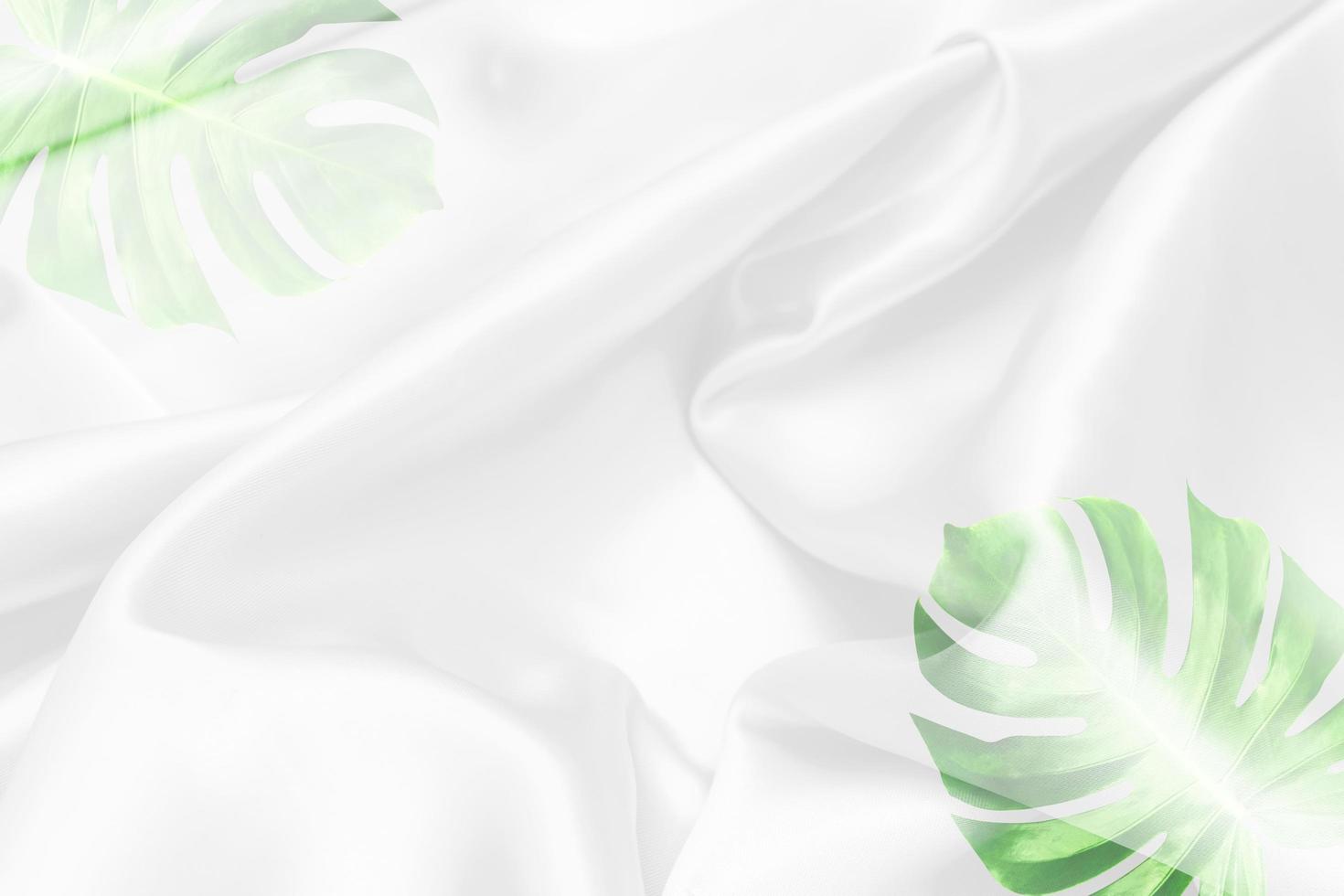 green monstera leaves pattern overlay with white fabric texture soft blur background photo