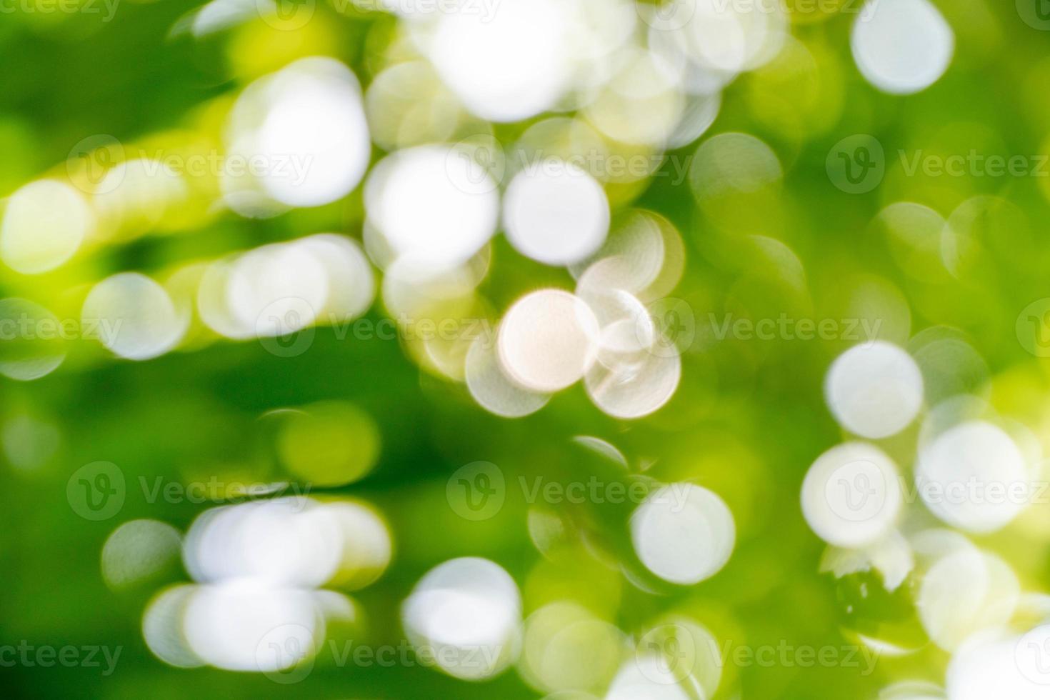 Blur effect wallpaper on camera lens photo