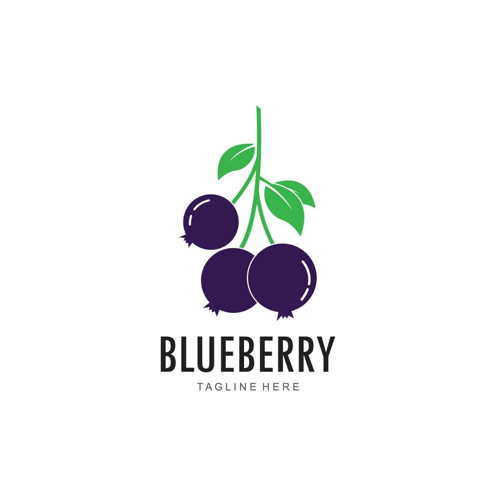 Blueberry logo vector template