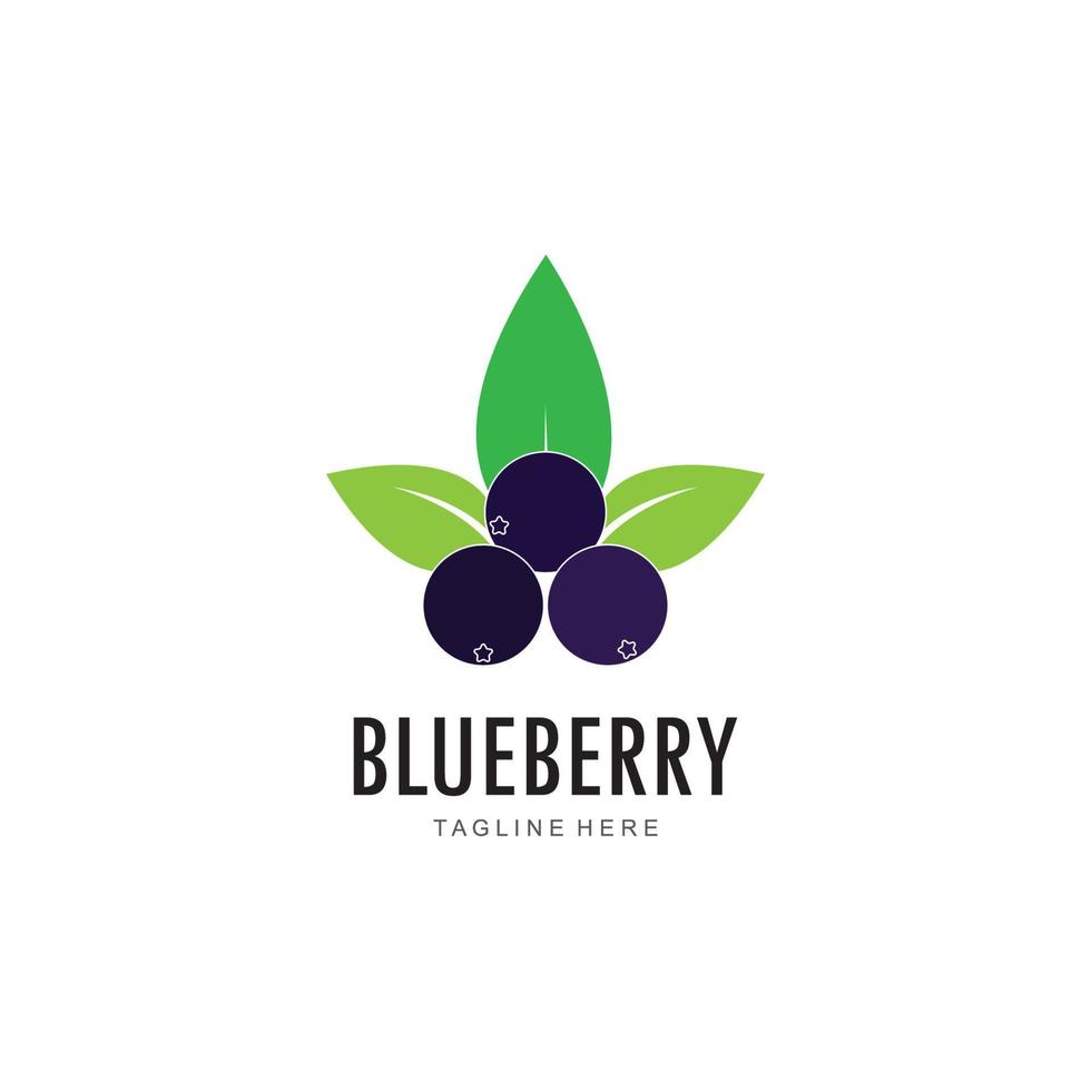 Blueberry logo vector template