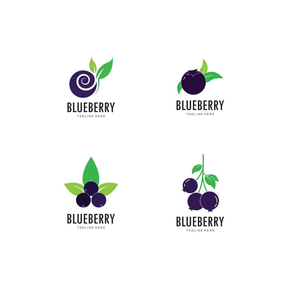 Blueberry logo vector template