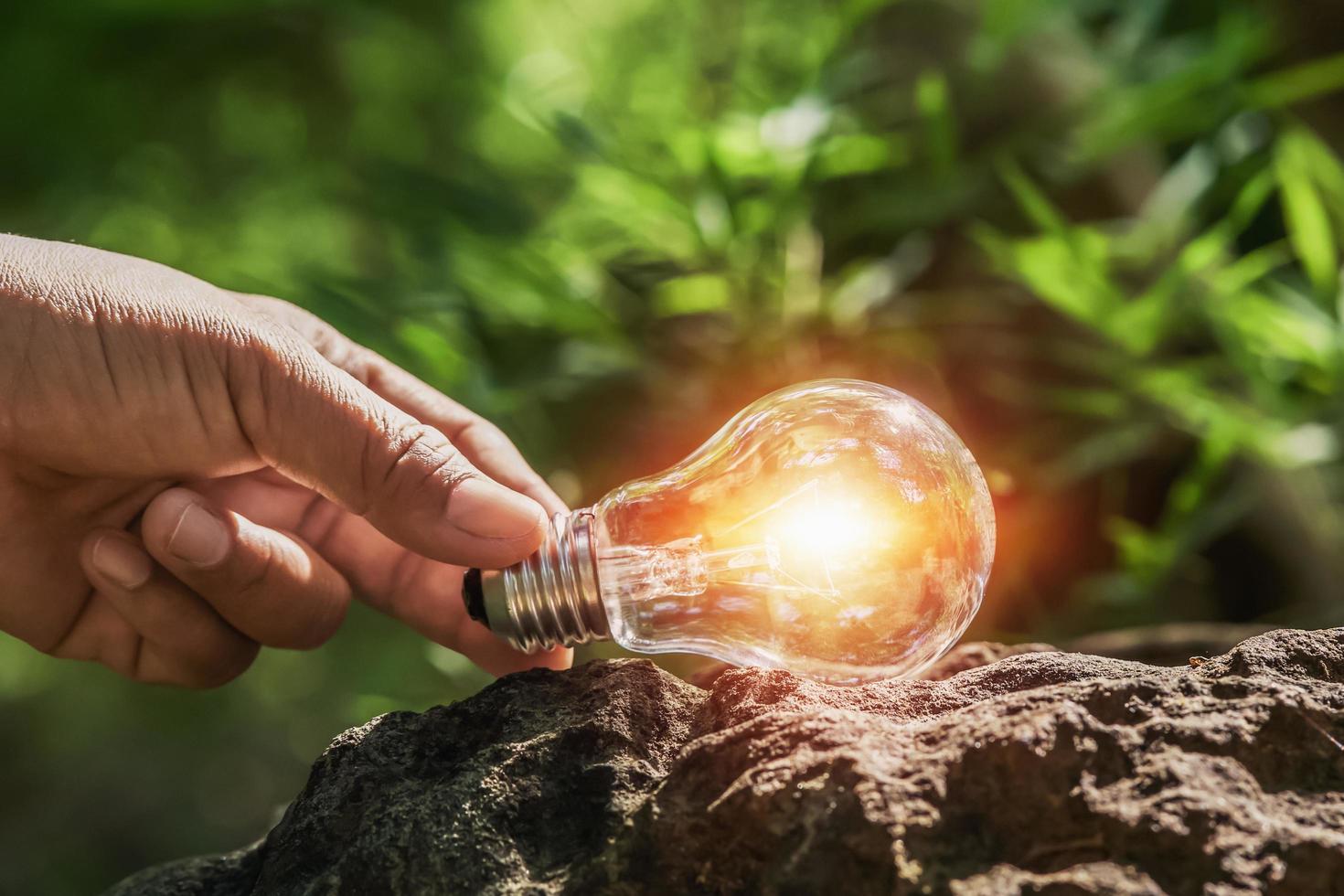 hand holding light bulb on rock in forest with sunshine. concept clean energy photo