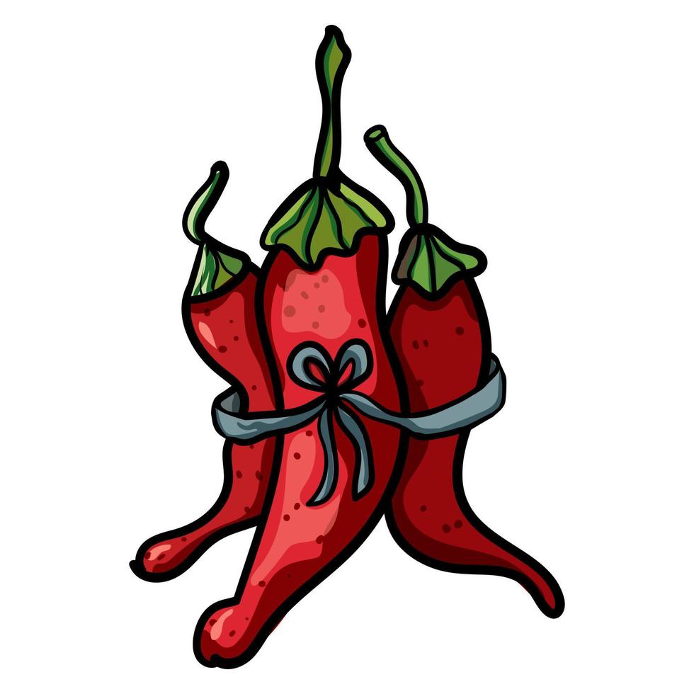 Bundle with red hot chili pepper vector