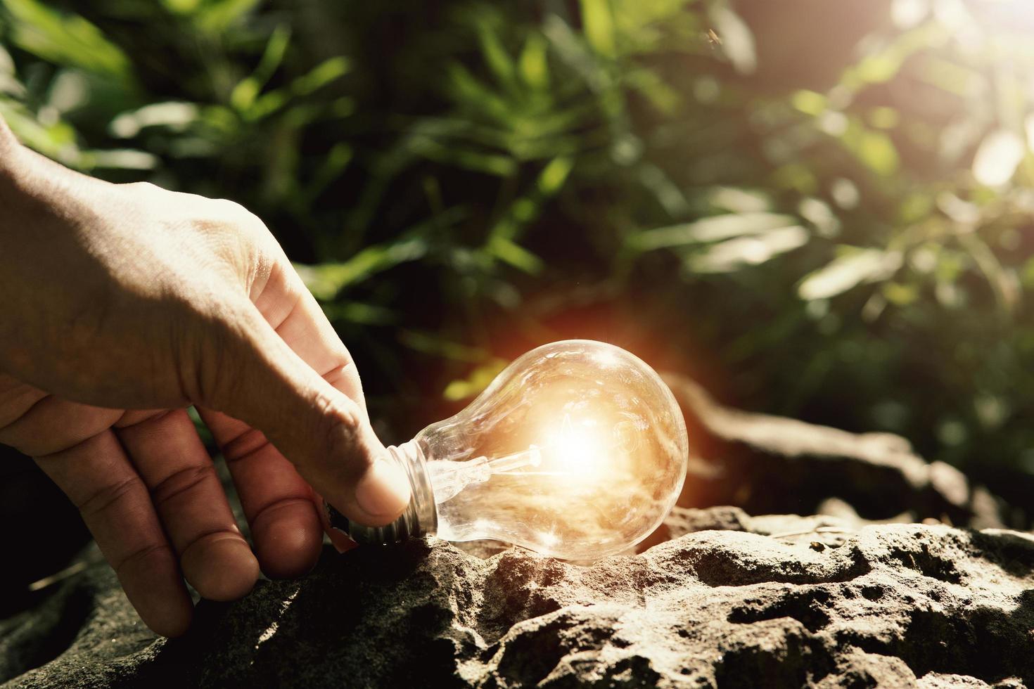 hand holding light bulb on rock in forest with sunshine. concept clean energy photo