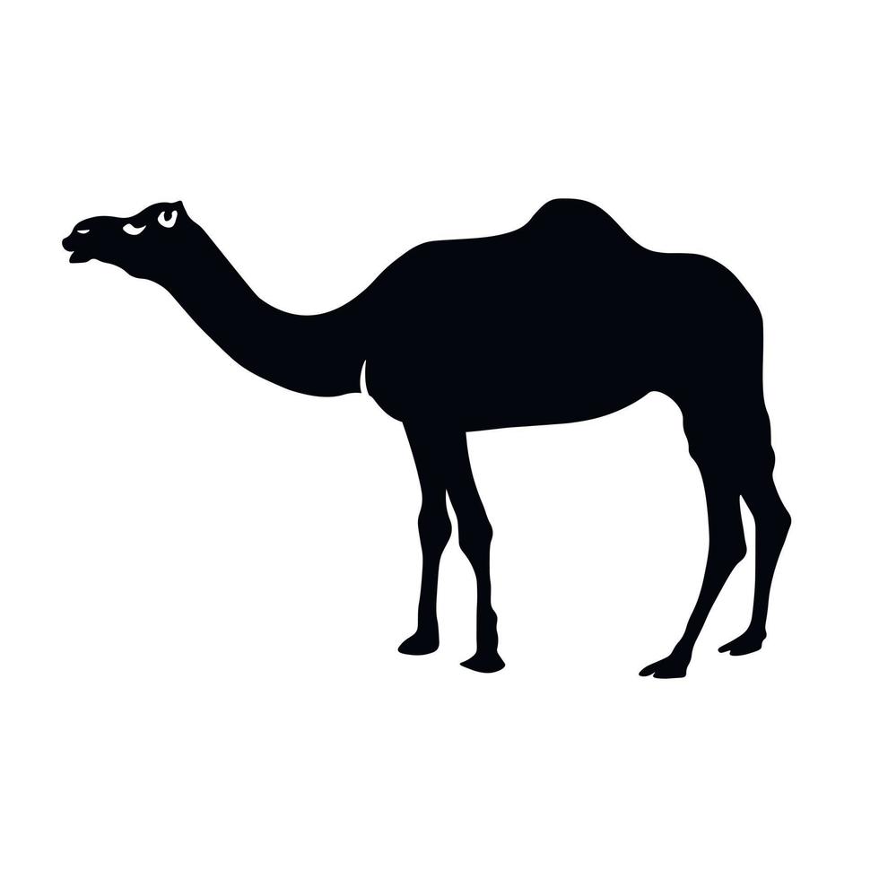 Vector stock illustration of dromedar. Camel close-up. An Eastern animal that lives in the desert. Arabic traditional transport. isolated on a white background. Ships of the desert