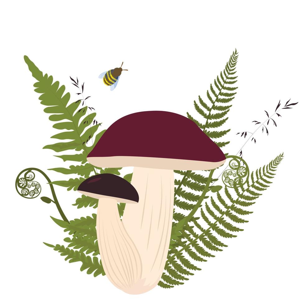 Brown boletus mushroom. White mushroom. Boletus edulis king bolete. Vector stock illustration. Isolated on a white background.
