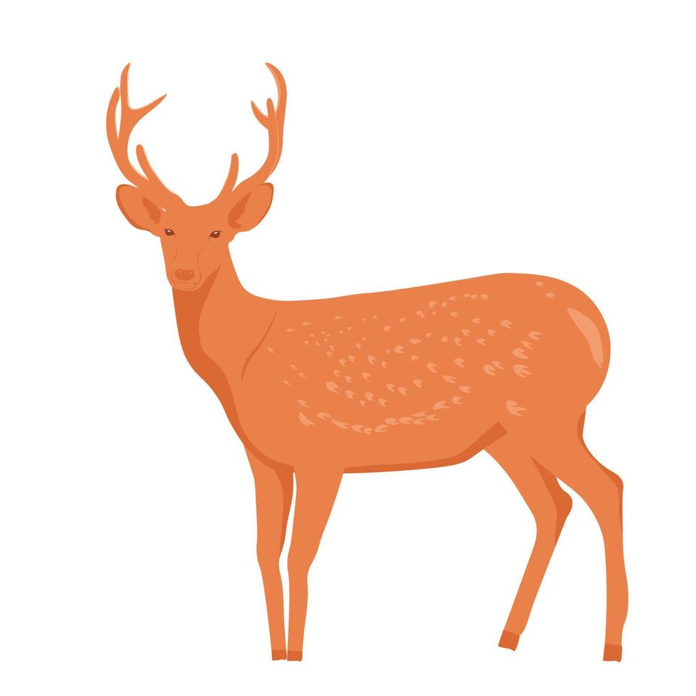 Spotted deer with horns. Vector stock illustration. Mammalian animals. Isolated on a white background.