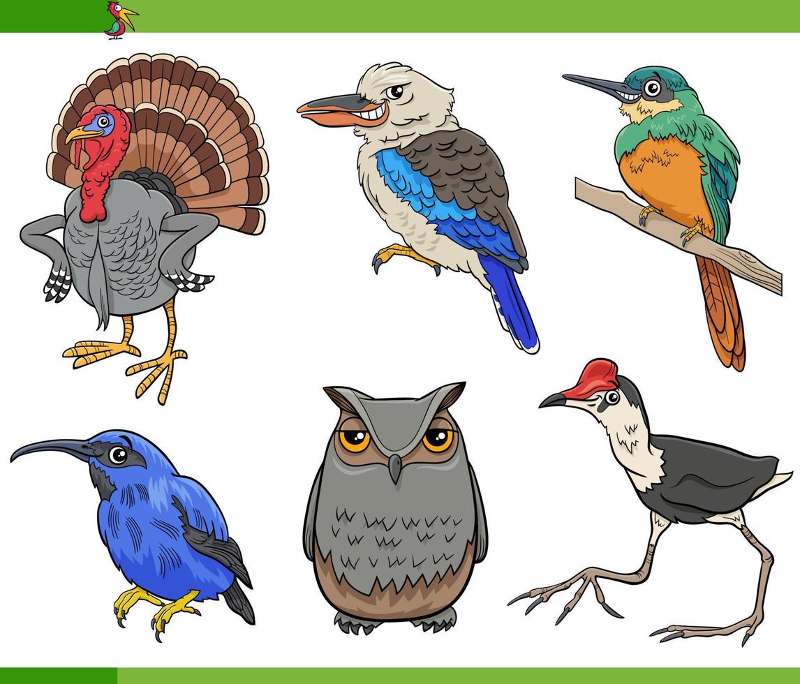 cartoon birds species animal characters set vector