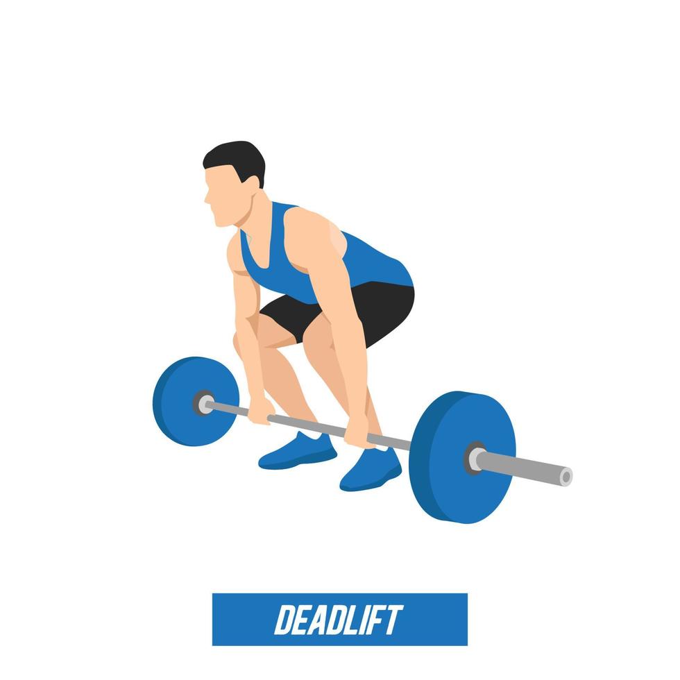 CrossFit workout training. Sport man training heavy barbell deadlift exercise in the gym for healthy beautiful body shape motivation. vector