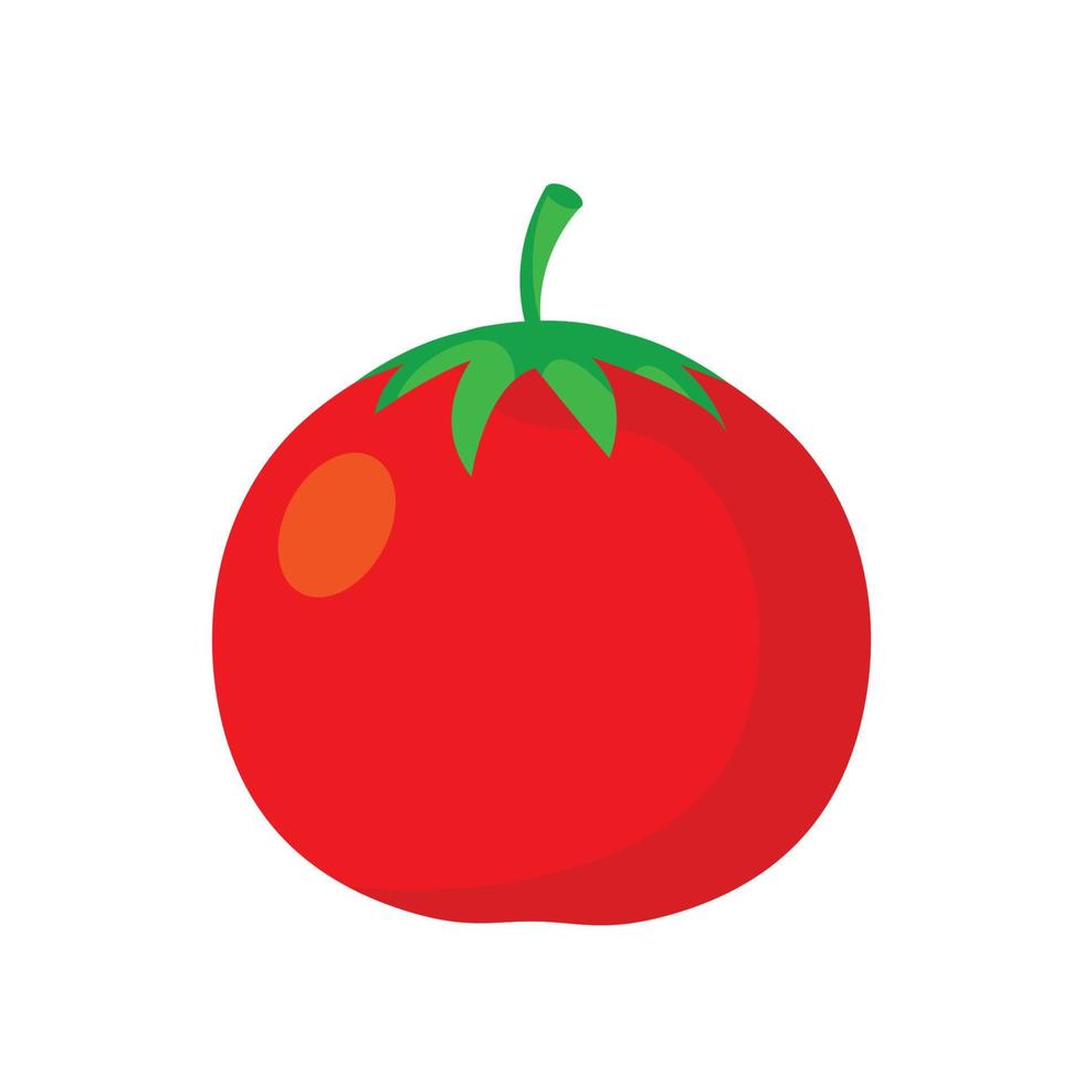 Tomato isolated single simple cartoon illustration vector