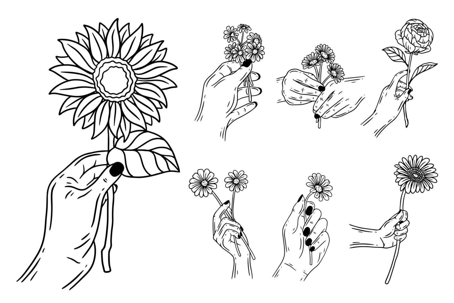 Set Bundle Line Art Drawing Simple Sun Flower with Hand Holding Hand Drawn vector