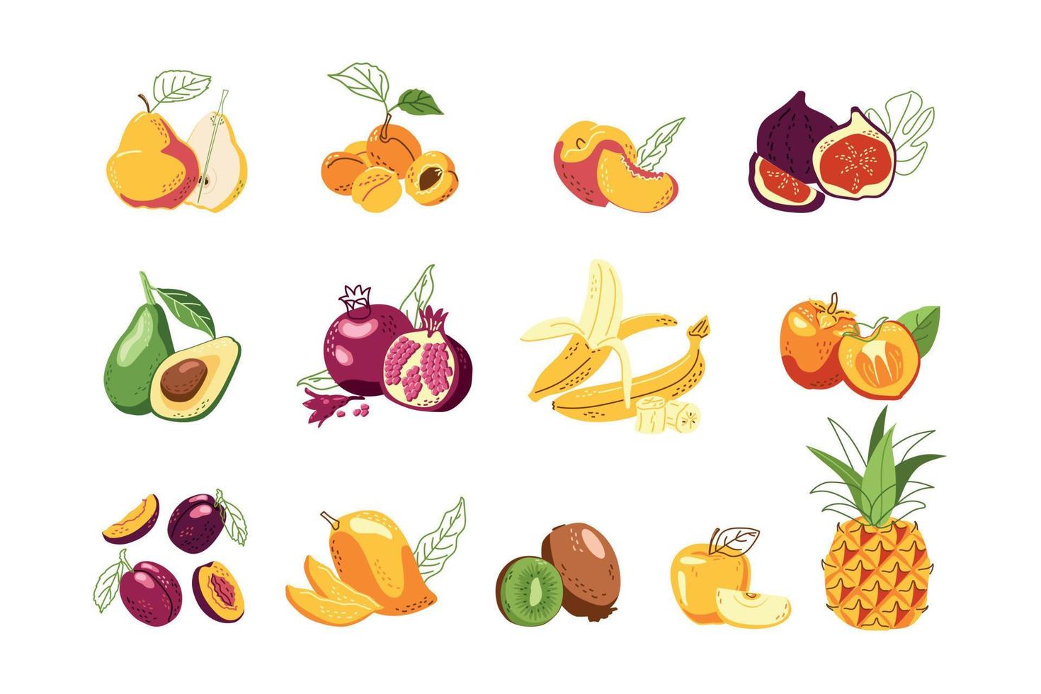 un gran conjunto de frutas populares vector