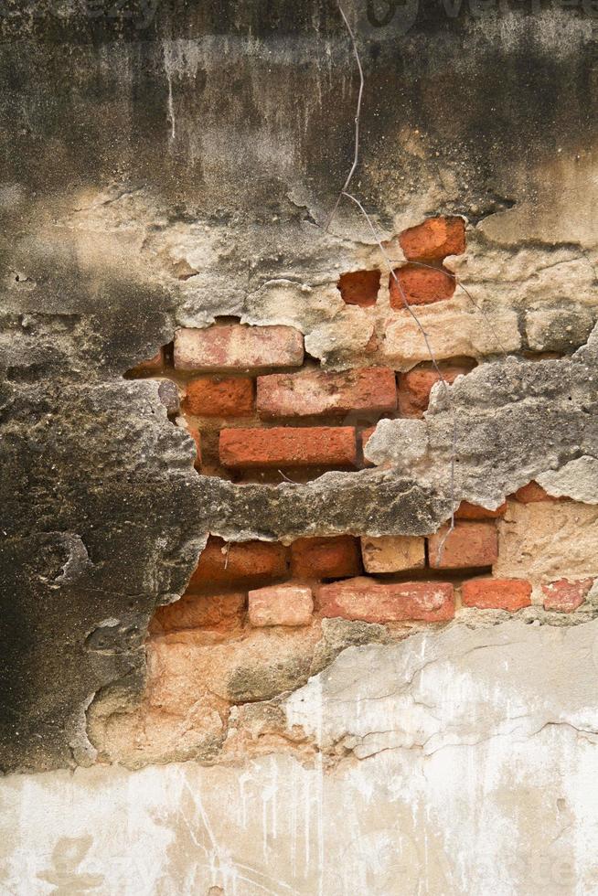 ancient cement walls of the past are old prison walls made of red brick with cracks, patterns, specks, and dirt covered with leaves as time passes from the past to the present. photo