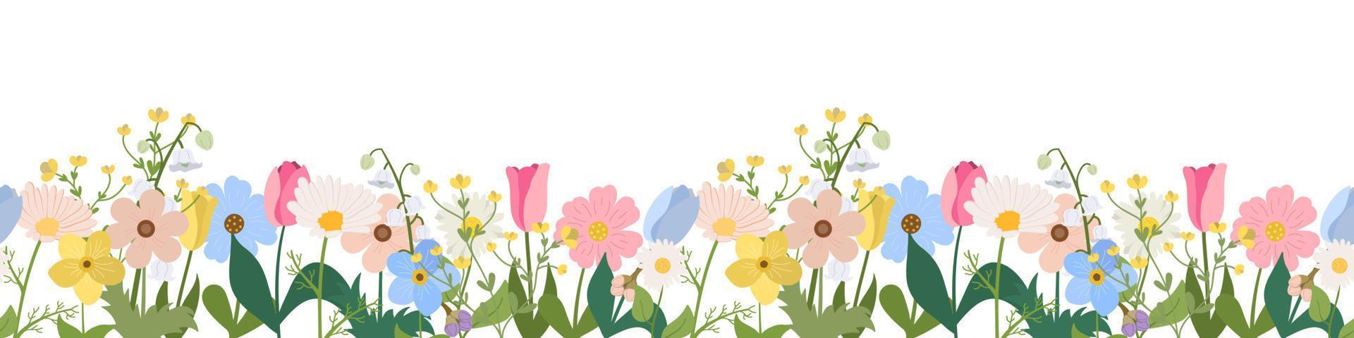 Spring or summer seamless horizontal border with blooming flowers on white background. Multicolored garden flowers in row. Banner with floral pattern. vector
