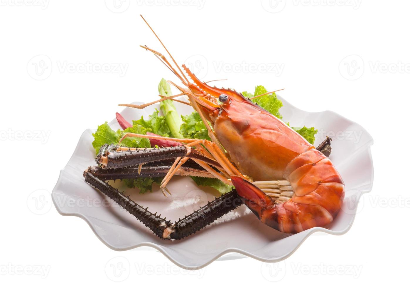 Giant Freshwater Prawn photo