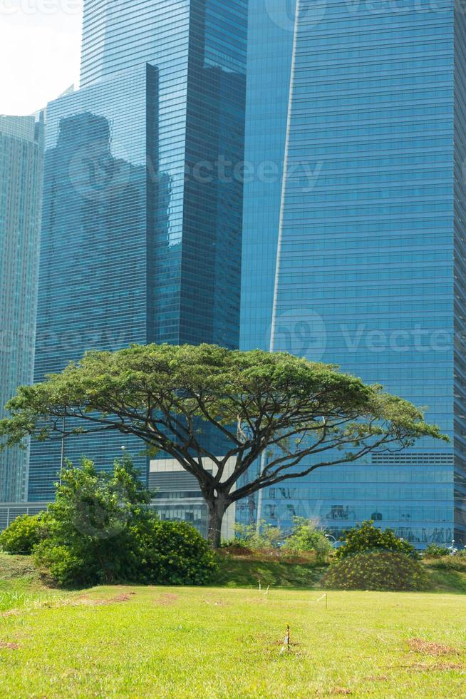 Buildings in Singapore skyline photo