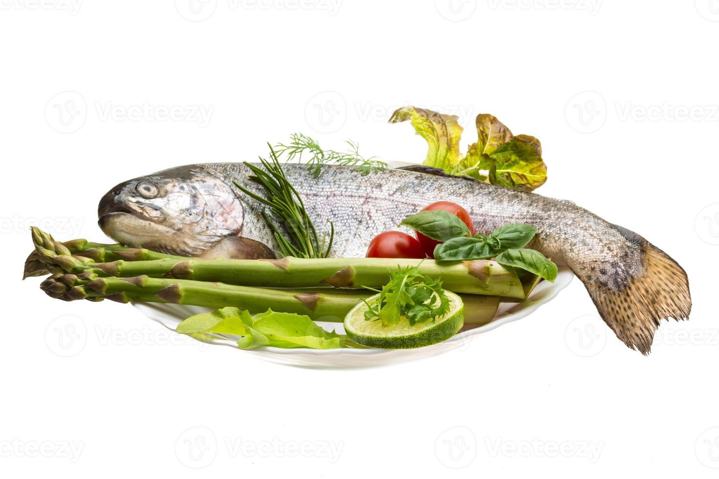 Fresh raw rainbow trout photo